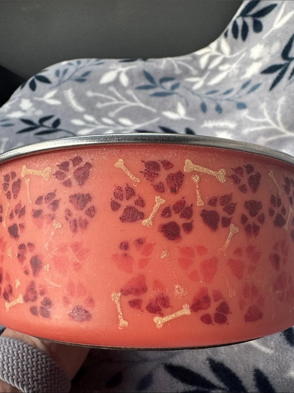 Orange Paw Prints and Dog Bones Metal Pet Bowl 6 1/2